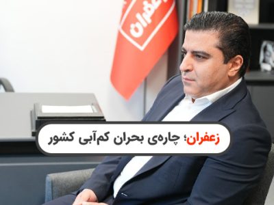 کشت زعفران پاسخی منطقی به مشکل کم آبی از نگاه دکتر اردیخانی